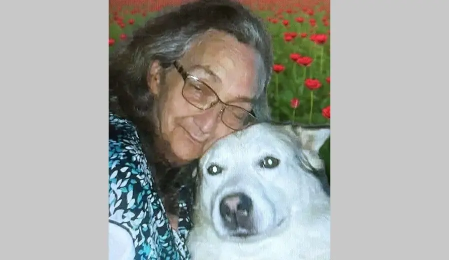 screenshot-2026-02-16-133036