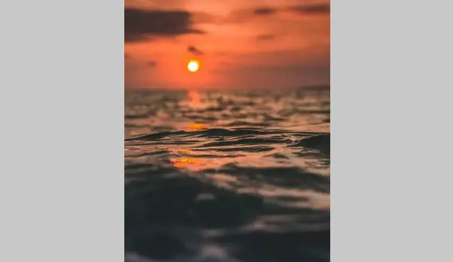 jackson-sunset
