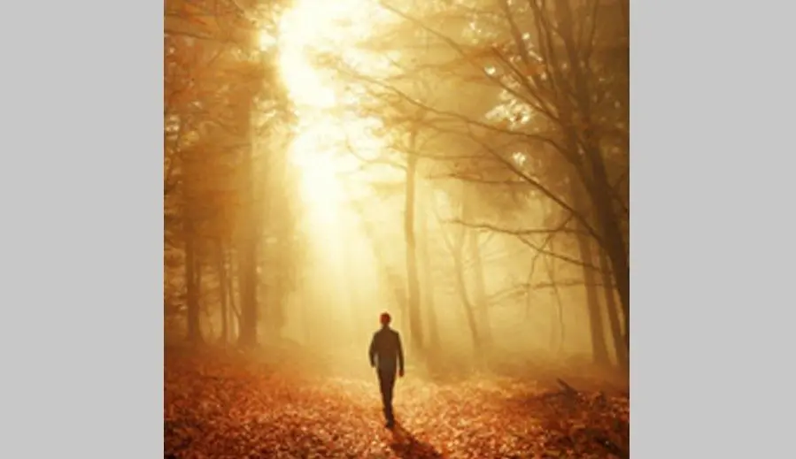 dillinger-sun-rays-woods