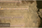 kzoz-1623356994-967157