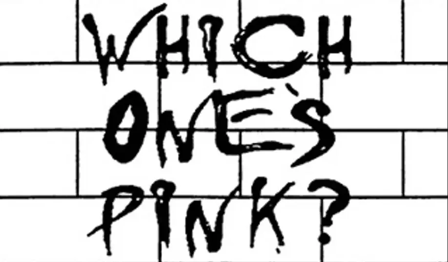 which-ones-pink