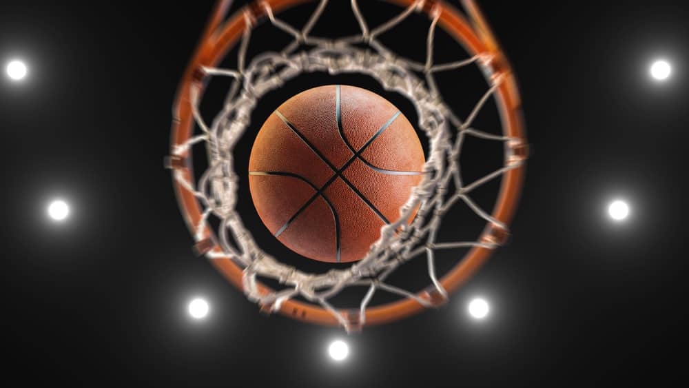 shutterstock_1947336295