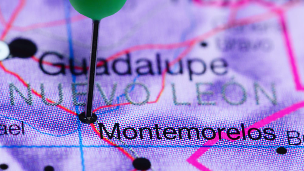 shutterstock_46038539865568