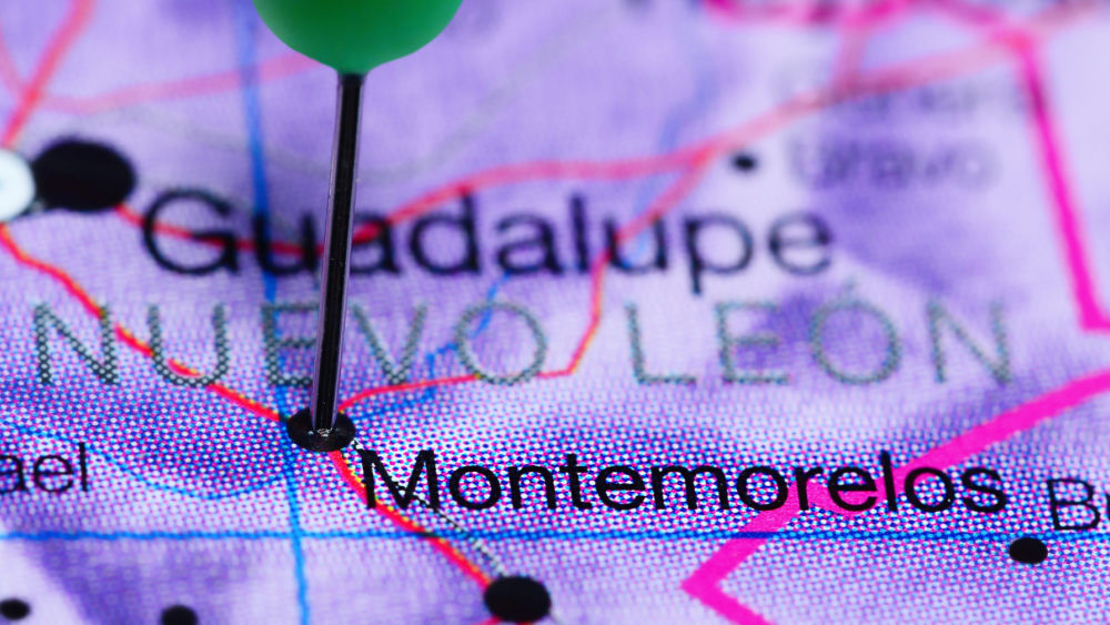 shutterstock_46038539865568