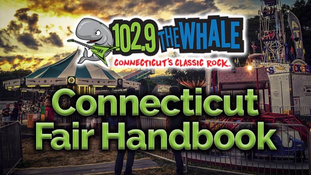 the-whale-connecticut-fair-handbook