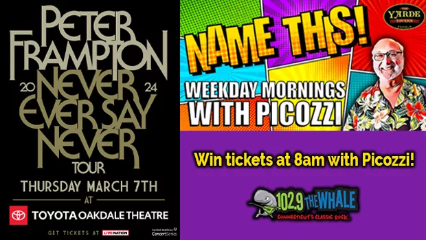 the-whale-frampton_picozzi
