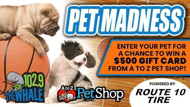 pet-madness-a-to-z