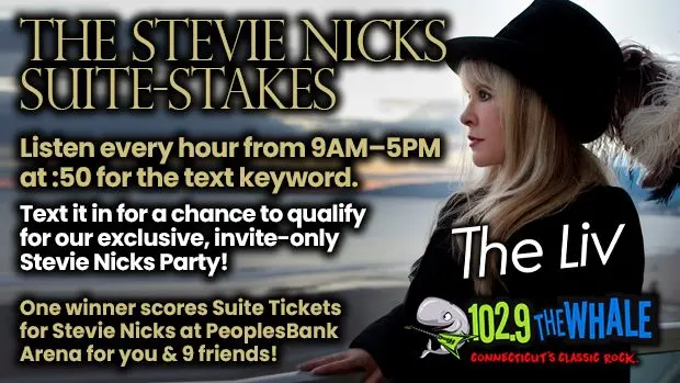 the-whale-stevie-nicks-suite-stakes-final