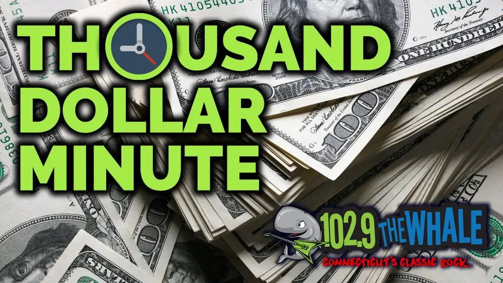 whale-thousand-dollar-minute-2