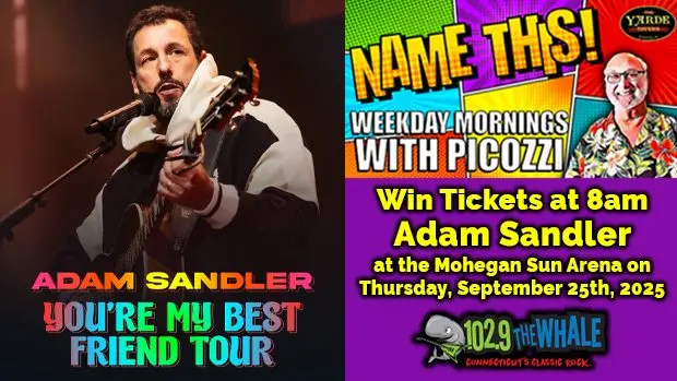 the-whale-sandler_name-this