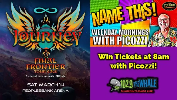 the-whale-journey_name-this