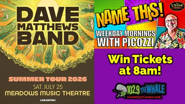 the-whale-dmb-2026_name-this