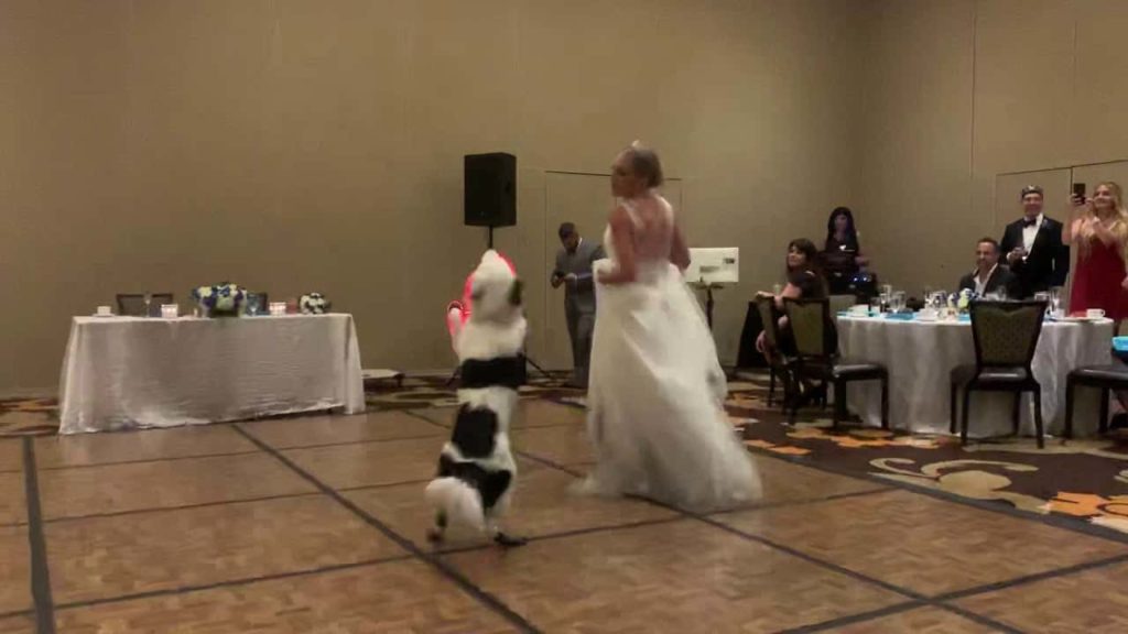 bride-sara-carson-devine-dances-with-her-best-dog-hero