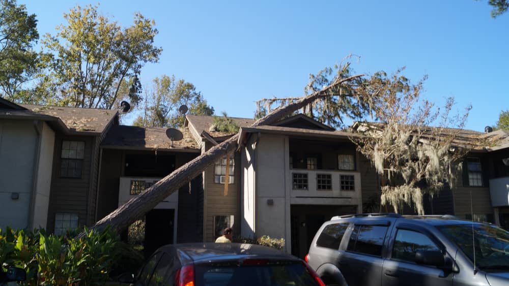 Dozens of homes destroyed, power outages after tornado hits Southwest Florida WBMW Pawcatuck, CT