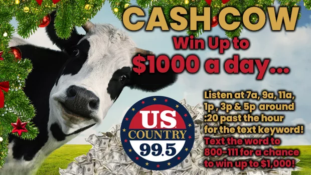 us-country-cash-cow-2024-holiday