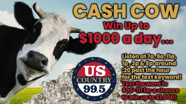 us-country-cash-cow-2024-2