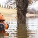 Flooding on a street with top of a fire hydrant visible.
