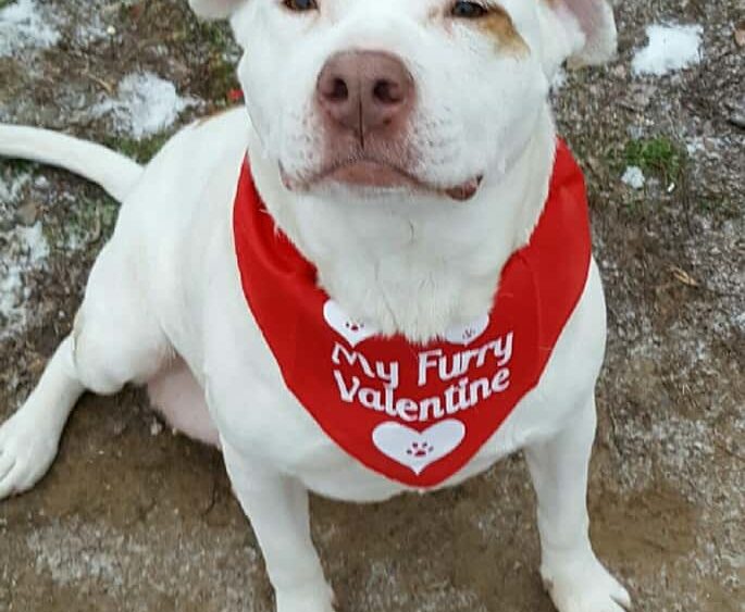 rubyvalentine
