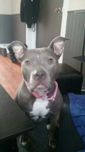 sadie3