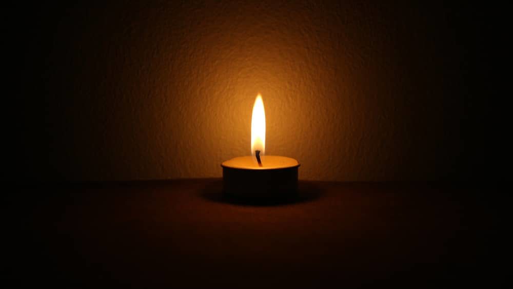 shutterstock_2006624843-2