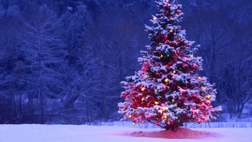 cc-by-nc-nd-4-0-image-jpeg-resolution-1920x1080-file-size-563kb-christmas-tree-snow-drawing