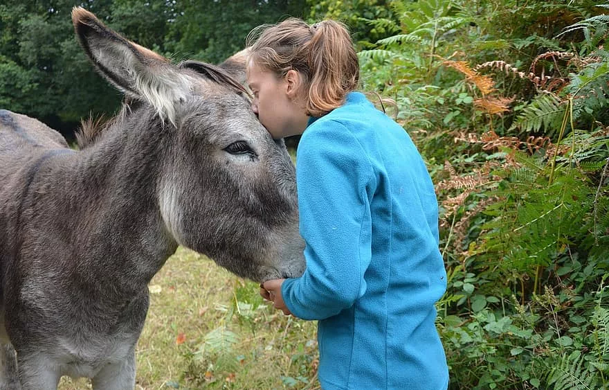 kiss-donkey-girl-young-woman-tenderness-affection-complicity-nature-domestic-animal