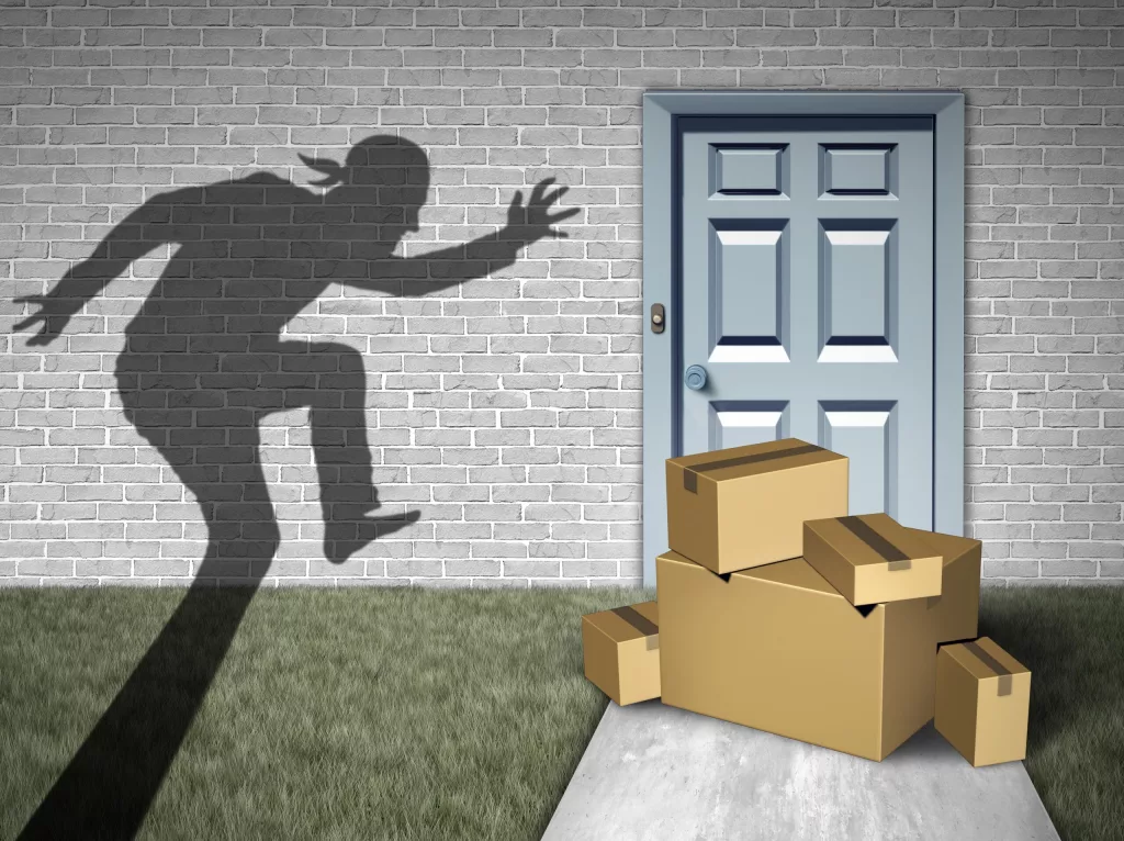 packagerobberyandhomedeliverytheftorporchpiratethief