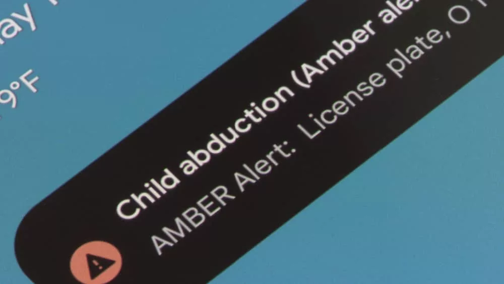 shutterstock_2305111899326881