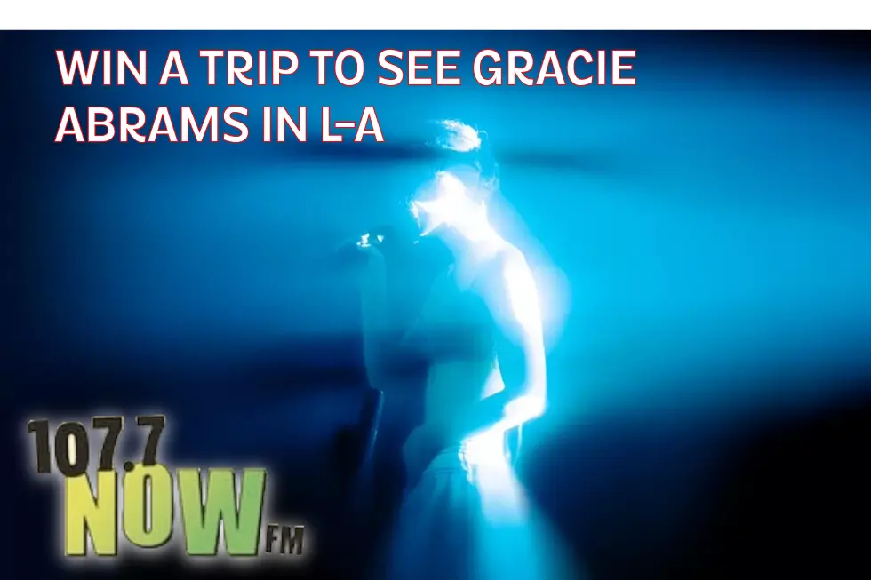 gracie-nowmeme