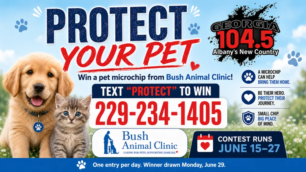 protect-your-pet-website-meme