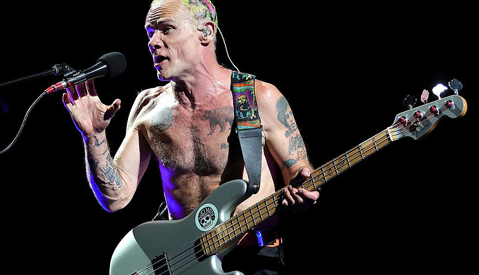 flea