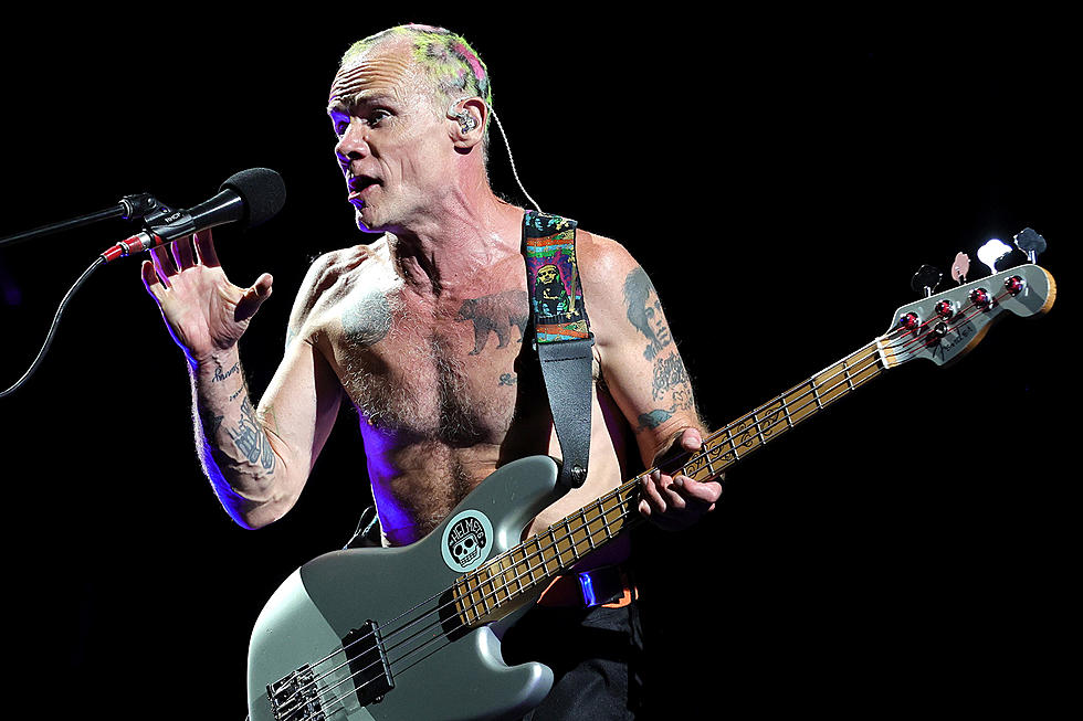 flea