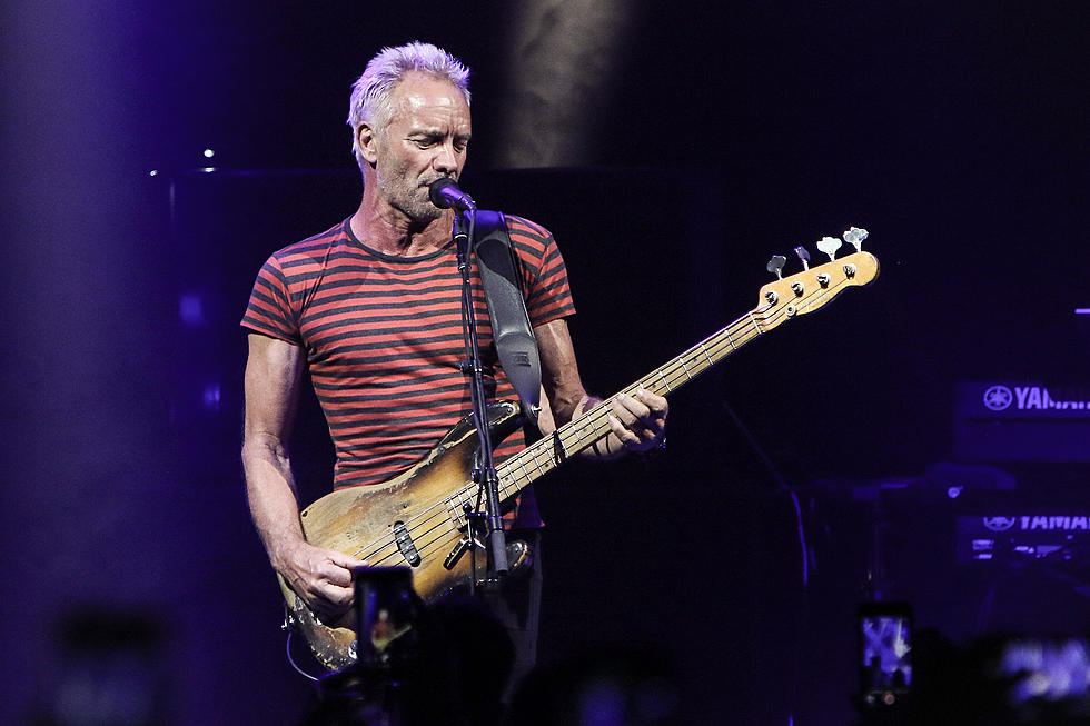 sting-2