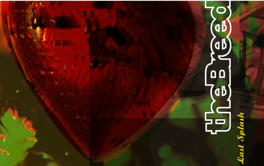 screenshot-2023-06-27-at-12-23-49-the-breeders-announce-last-splash-30th-anniversary-edition-2023-tour-dates