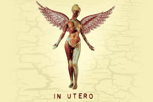 attachment-nirvana-in-utero-dgc-image