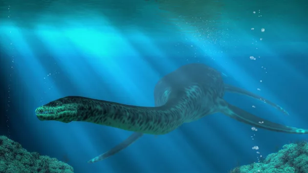 news_plesiosaur_21825568593