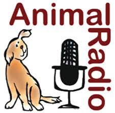 animal-radio
