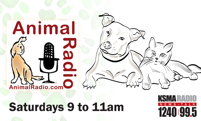 animal-radio_ksma2