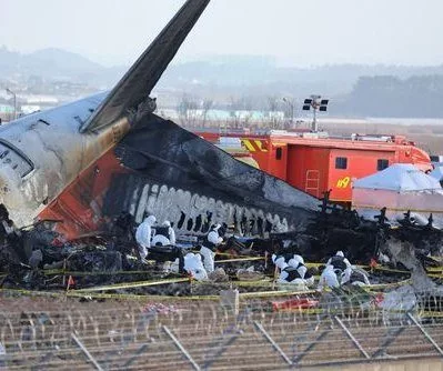 preliminary-report-suggests-bird-strikes-caused-recent-jeju-air-crash-in-south-korea