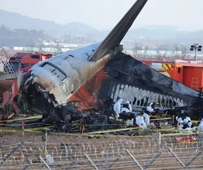 bird-strike-detection-systems-to-be-deployed-at-all-s-korean-airports-following-jeju-air-crash-2