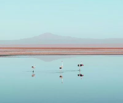chilean-city-first-in-latin-america-to-rely-entirely-on-desalinated-seawater-2