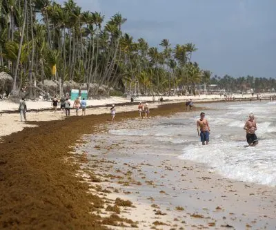unprecedented-sargassum-surge-threatens-tourism-in-the-caribbean-2