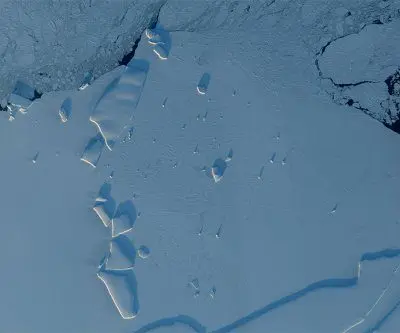 british-researchers-remains-found-in-melting-anatarctic-glacier-2