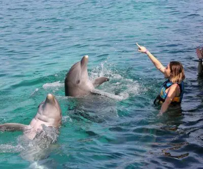 world-travel-awards-mexico-peru-chile-stand-out-in-latin-america-2
