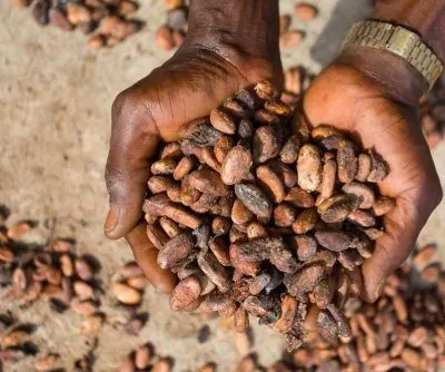 peru-wins-the-chocolate-oscar-2