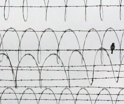 british-man-who-fought-for-ukraine-given-13-years-by-russian-court-2