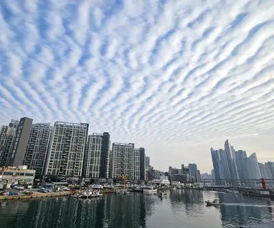 busan-plans-trial-arctic-container-ship-route-to-rotterdam-2