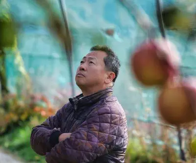 south-korean-farmers-sue-utility-giant-kepco-over-climate-damage-to-crops-2