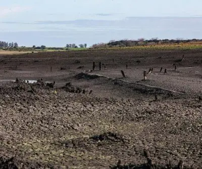 Uruguay declares drought, avian flu emergencies
