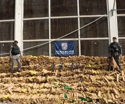 rio-police-report-largest-ever-48-ton-marijuana-seizure-in-brazil-2